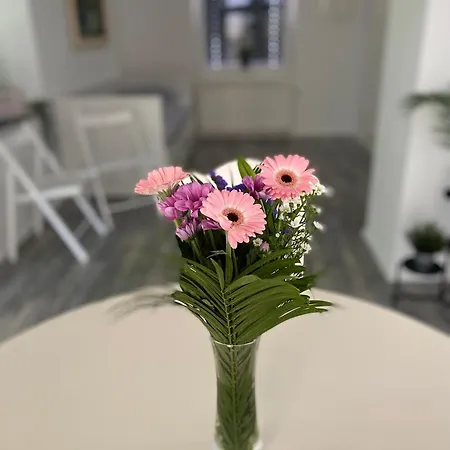 Apartma Mimi Apartamento *