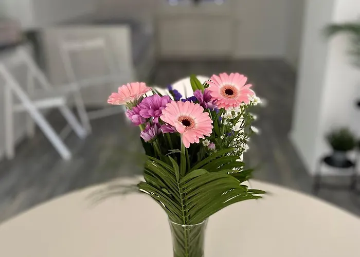 Apartma Mimi شقة *